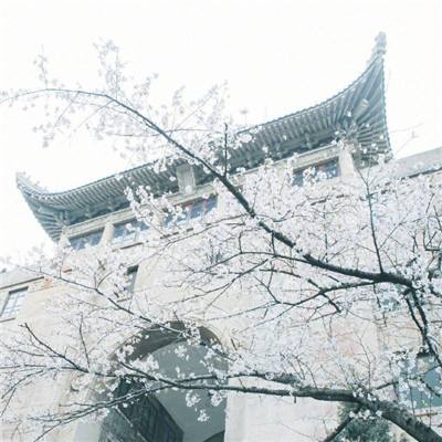 宪法进校园 北京财贸职业学院启动宪法学习宣传周